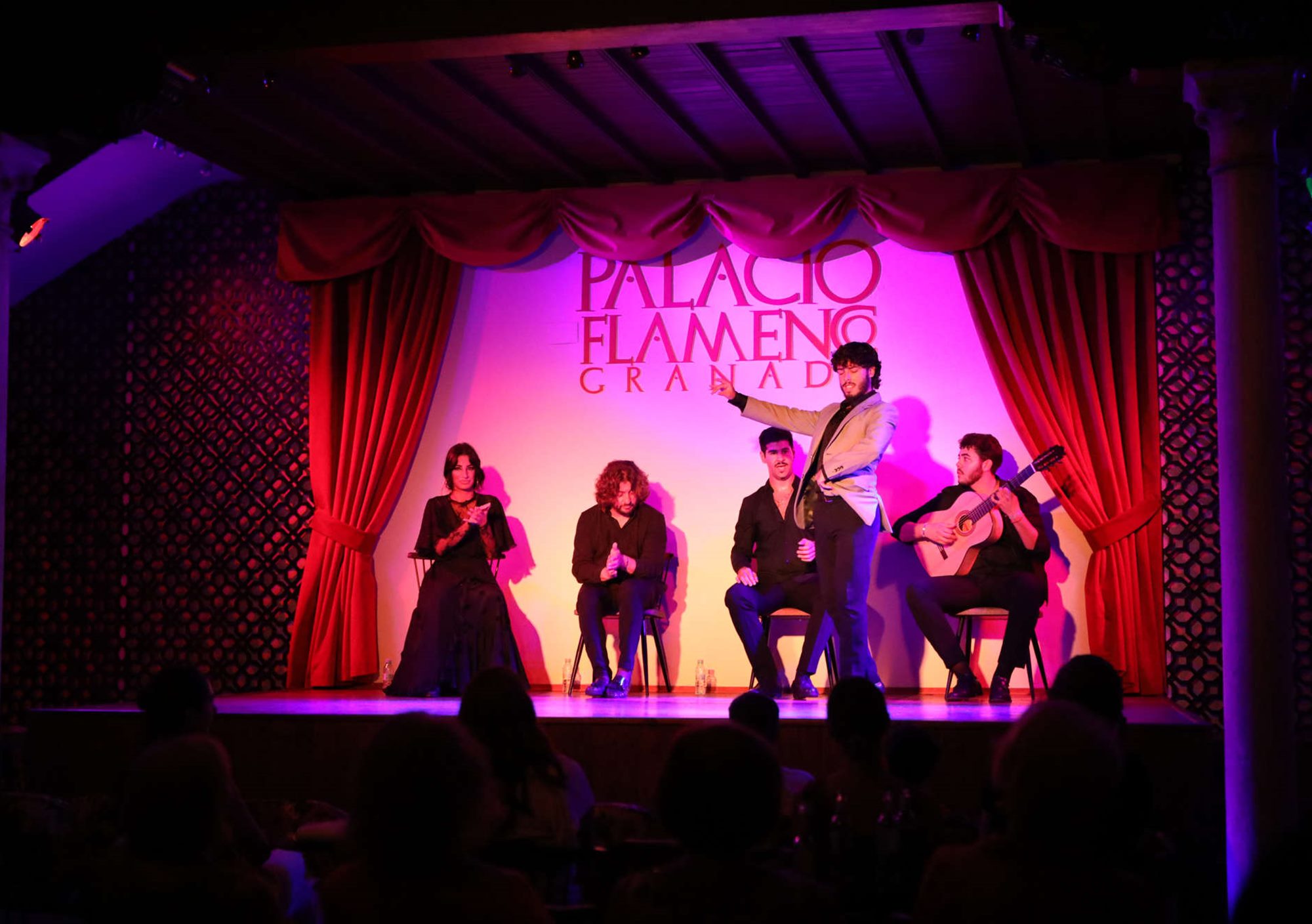 espectaculo palacio flamenco