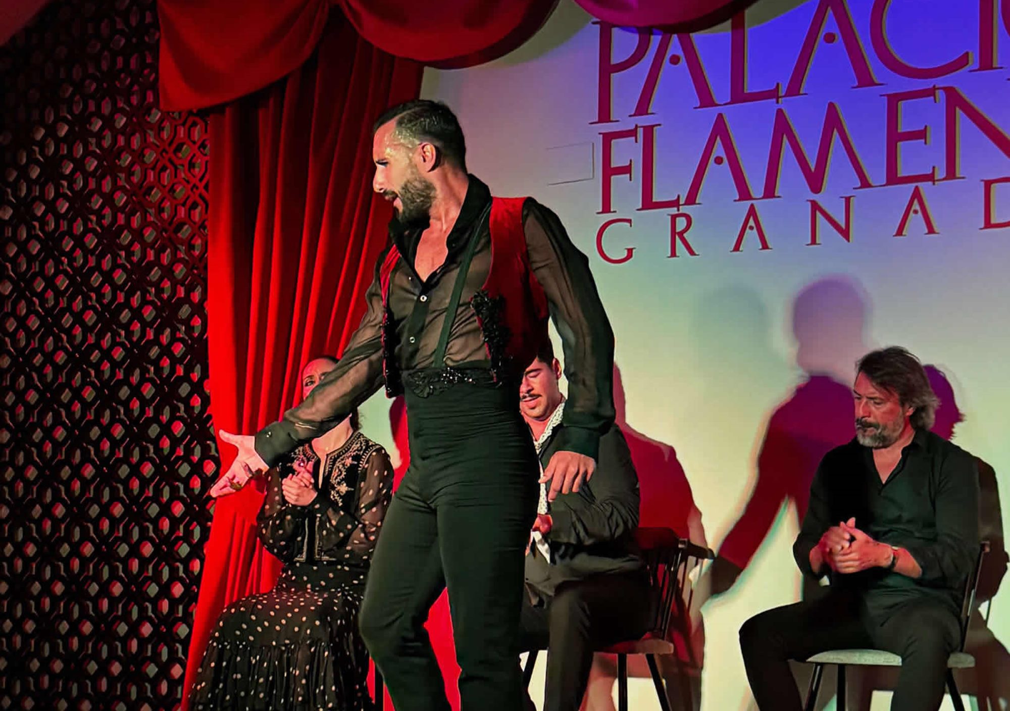Reservas palacio flamenco