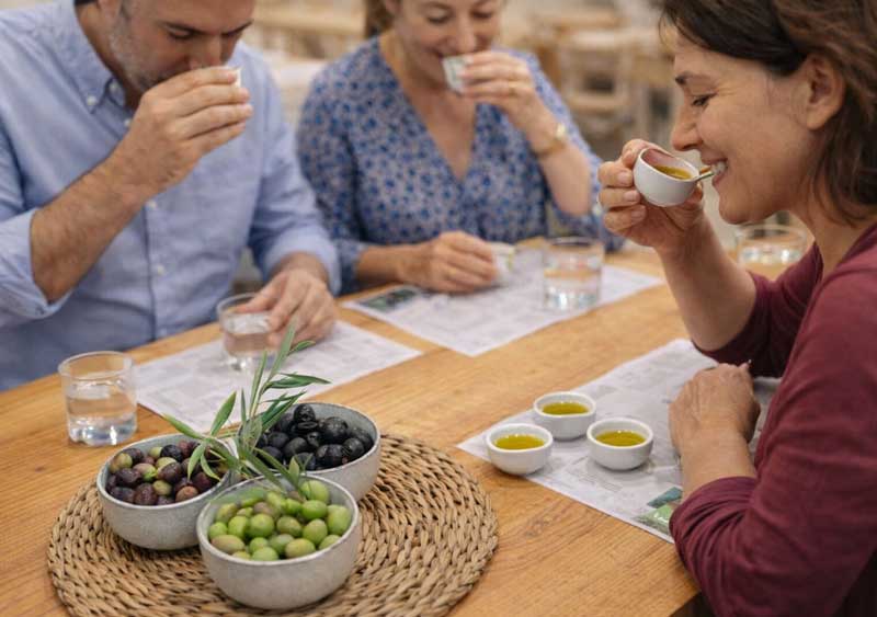 visita guiada del aceite de oliva en granada