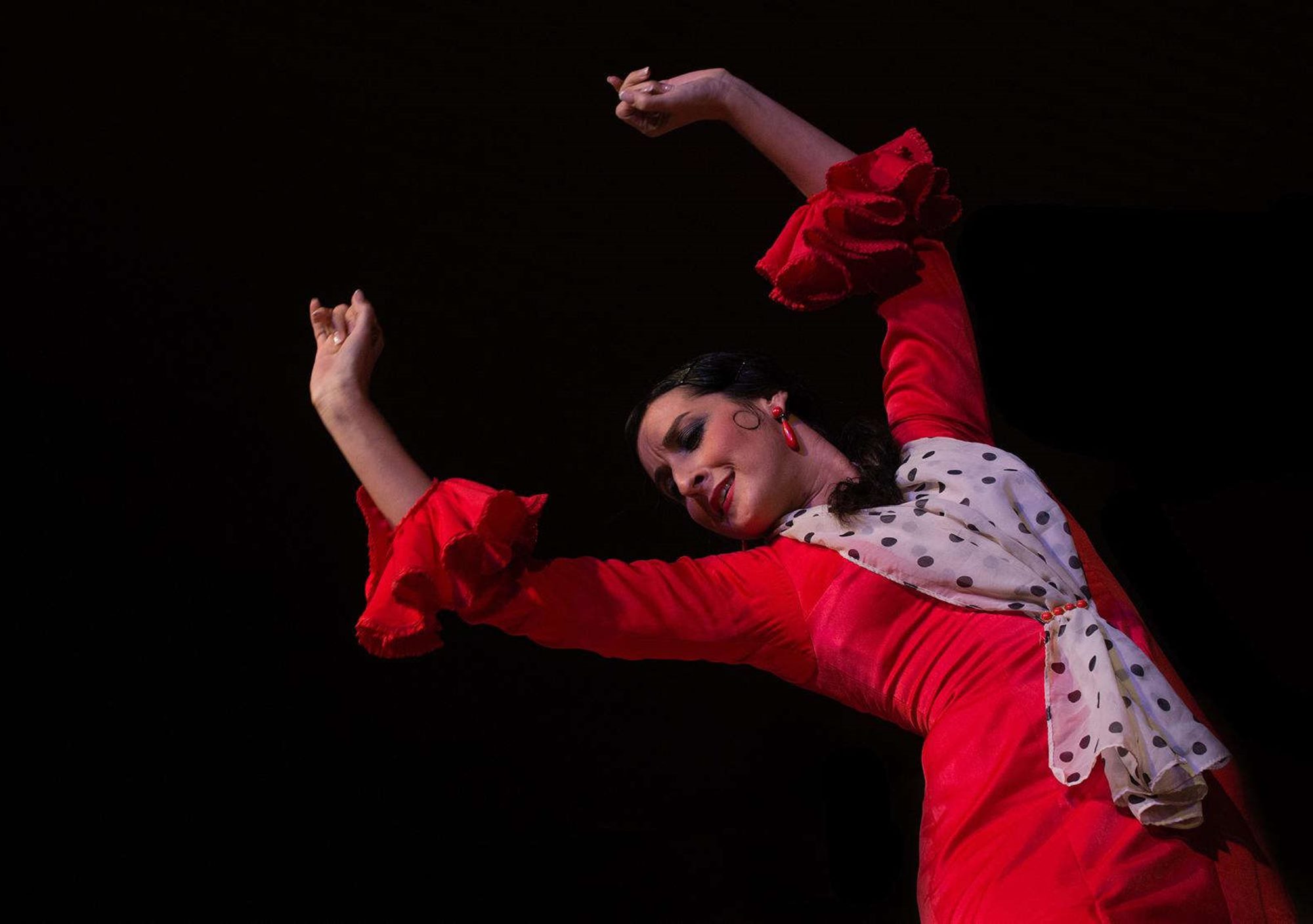 flamenco Cueva Zincalé