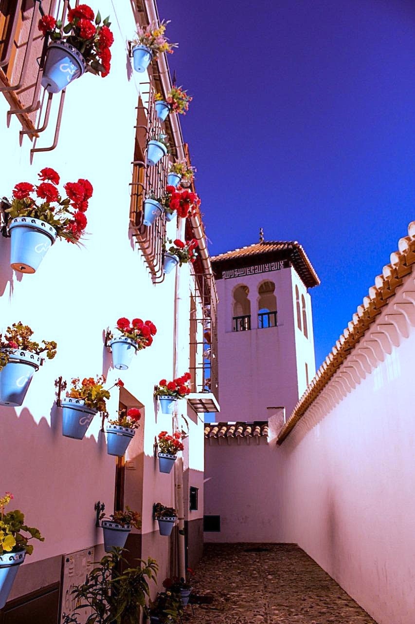 cosas que disfrutar en granada